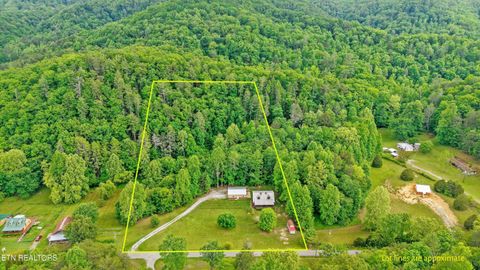 Tiny photo for 610 Towee Falls Rd, Tellico Plains, TN 37385 (MLS # 1340761)