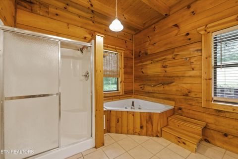 Tiny photo for 610 Towee Falls Rd, Tellico Plains, TN 37385 (MLS # 1340761)
