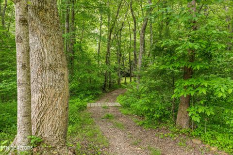 Tiny photo for 610 Towee Falls Rd, Tellico Plains, TN 37385 (MLS # 1340761)