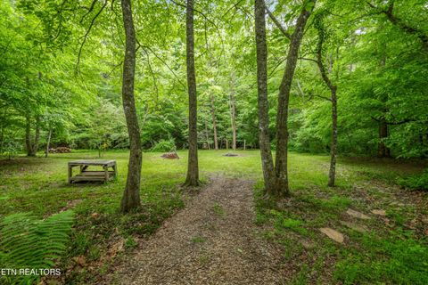 Tiny photo for 610 Towee Falls Rd, Tellico Plains, TN 37385 (MLS # 1340761)