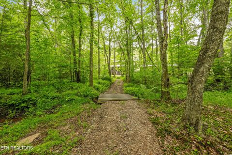 Tiny photo for 610 Towee Falls Rd, Tellico Plains, TN 37385 (MLS # 1340761)