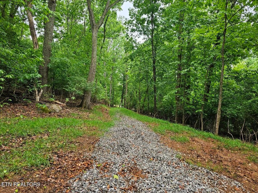 Photo of 2050 Jones Bend Rd, Louisville, TN 37777 (MLS # 1338370)