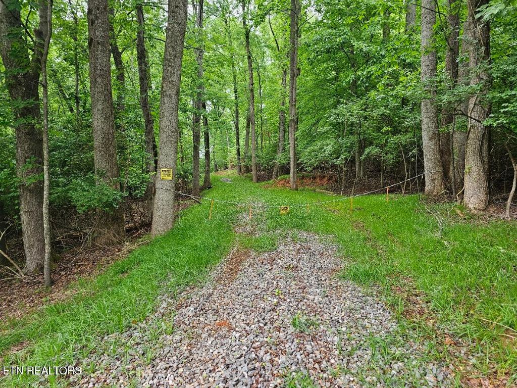 Photo of 2050 Jones Bend Rd, Louisville, TN 37777 (MLS # 1338370)