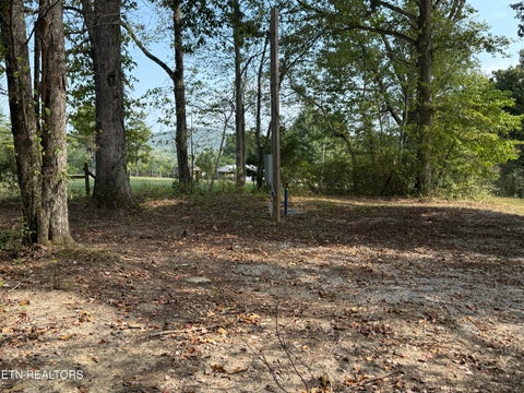 Tiny photo for 210 Snow Lane, Harriman, TN 37748 (MLS # 1356237)