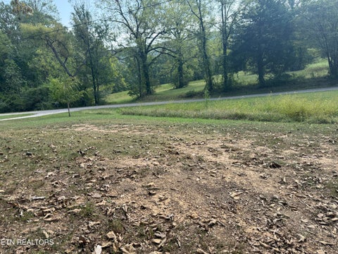 Tiny photo for 210 Snow Lane, Harriman, TN 37748 (MLS # 1356237)