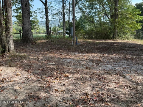 Tiny photo for 210 Snow Lane, Harriman, TN 37748 (MLS # 1356237)