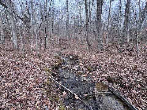 Photo of Buffalo Cove Lane, Jamestown, TN 38556 (MLS # 1330541)