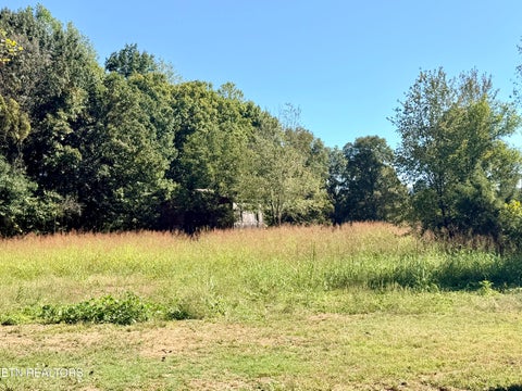 Tiny photo for 6335 Highway 411, Madisonville, TN 37354 (MLS # 1359263)