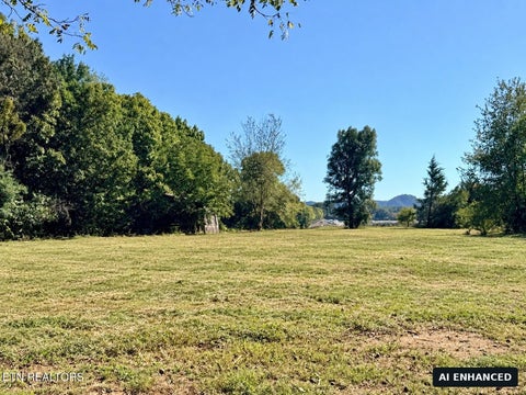 Tiny photo for 6335 Highway 411, Madisonville, TN 37354 (MLS # 1359263)