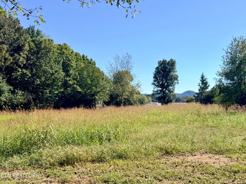 Tiny photo for 6335 Highway 411, Madisonville, TN 37354 (MLS # 1359263)