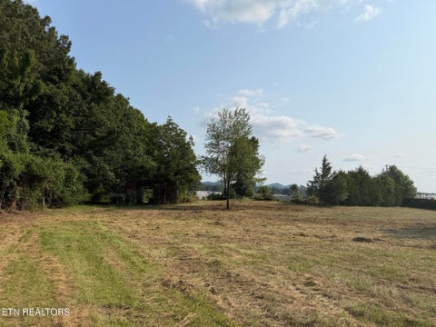Tiny photo for 6335 Highway 411, Madisonville, TN 37354 (MLS # 1359263)