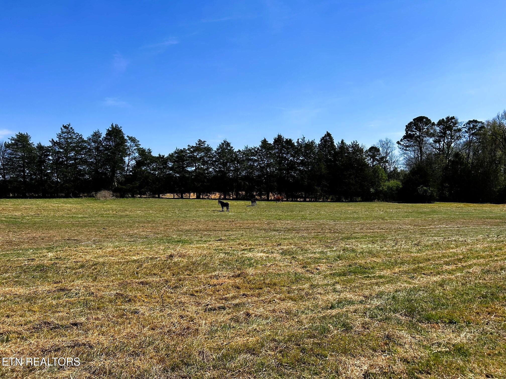 17.5 acres County Road 571