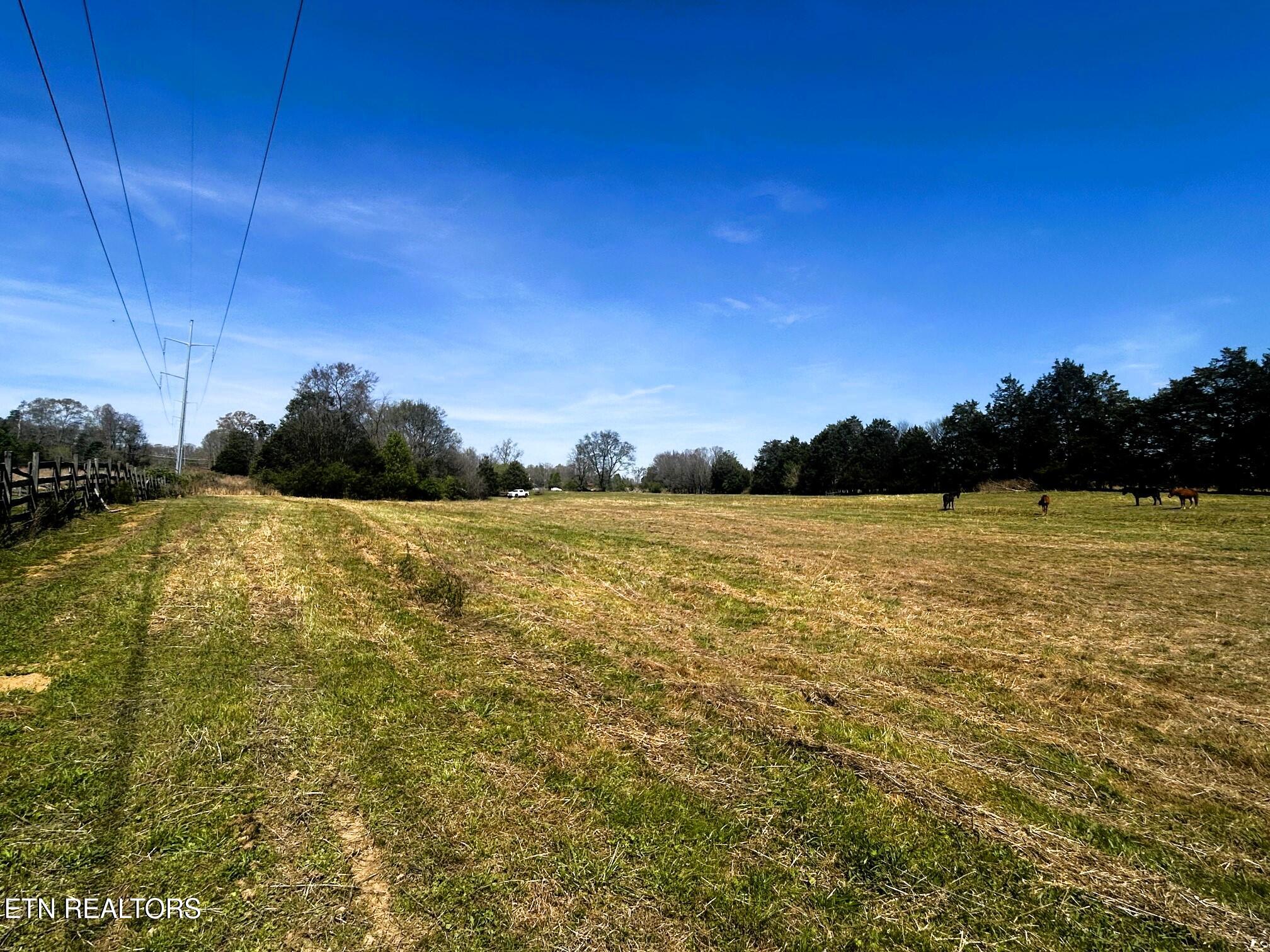 17.5 acres County Road 571