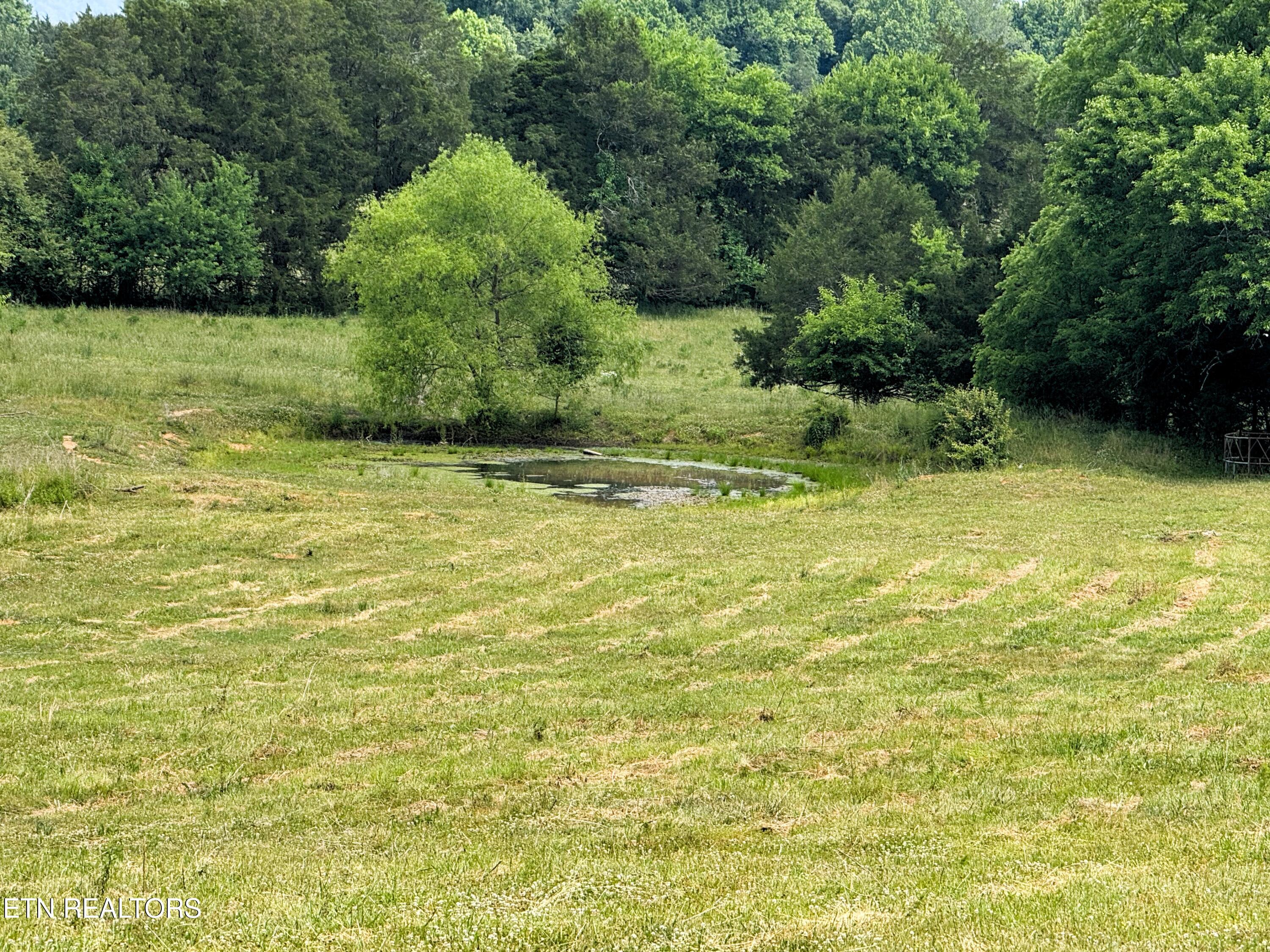 17.5 acres County Road 571