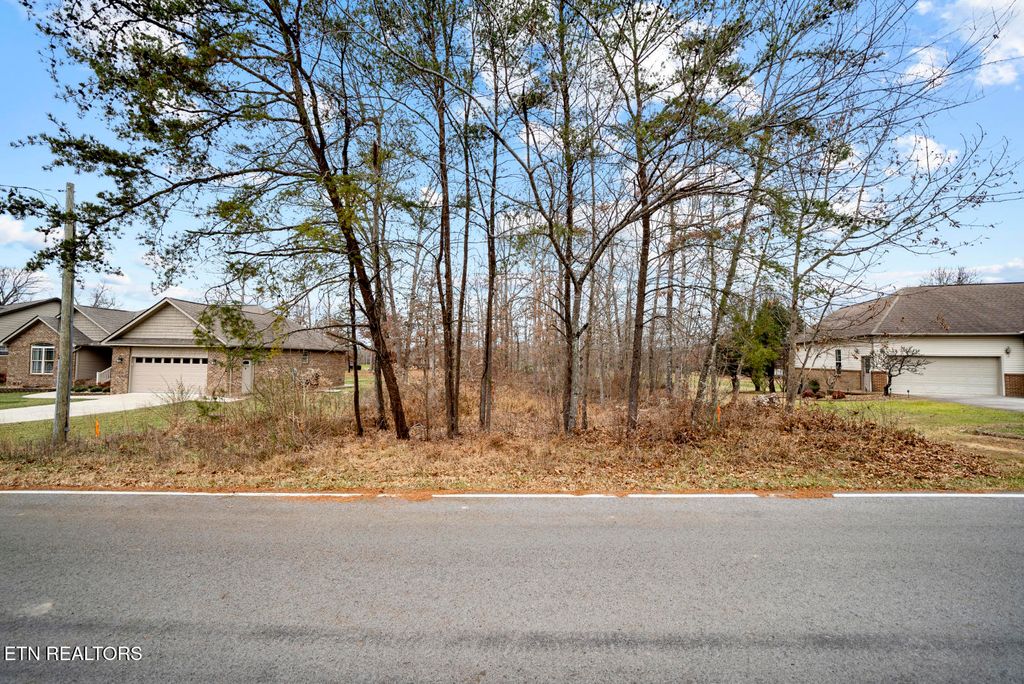 Photo of 47 E Deer Creek Drive, Crossville, TN 38571 (MLS # 1324445)