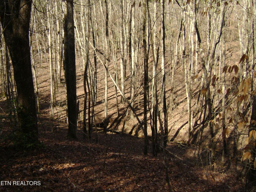 Photo of 0 Torbett Road Rd, Spring City, TN 37381 (MLS # 1305176)