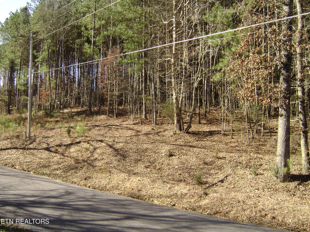 Photo of 0 Torbett Road Rd, Spring City, TN 37381 (MLS # 1305176)