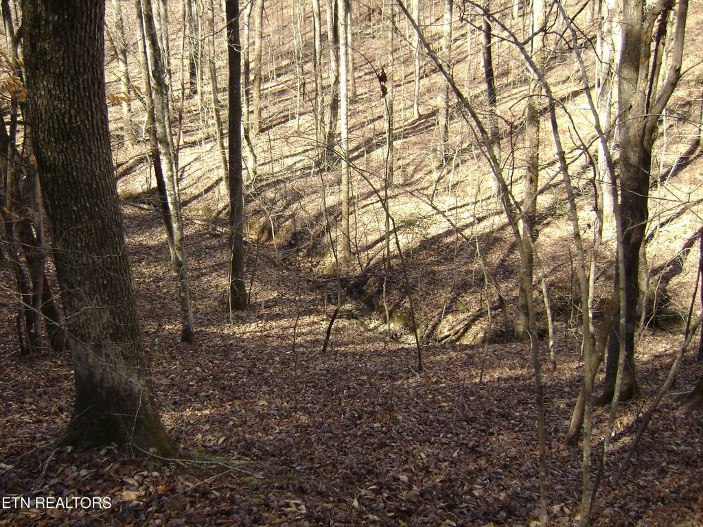 Photo of 0 Torbett Road Rd, Spring City, TN 37381 (MLS # 1305176)