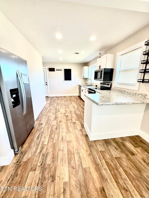 Tiny photo for 1717 Opal St, Jefferson City, TN 37760 (MLS # 1330205)