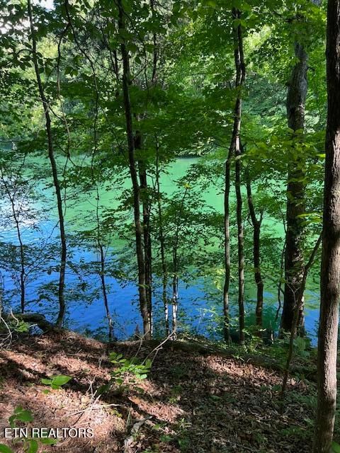 Cheri Ln Lot 62 Caryville TN 37714