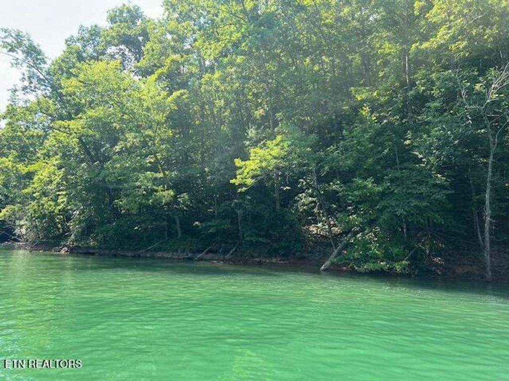 Photo of Cheri Ln Lot 62, Caryville, TN 37714 (MLS # 1303253)