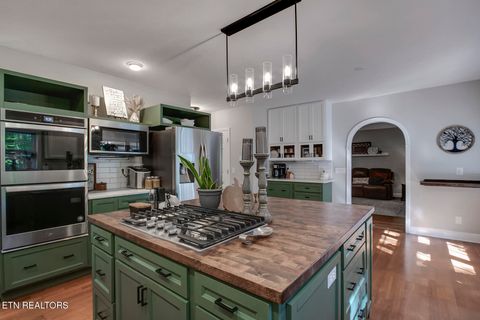 Tiny photo for 680 Dogwood Valley Rd, Kingston, TN 37763 (MLS # 1317081)