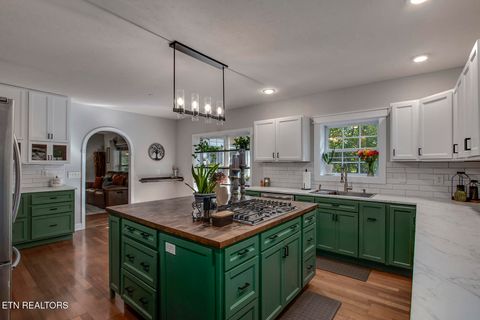 Tiny photo for 680 Dogwood Valley Rd, Kingston, TN 37763 (MLS # 1317081)