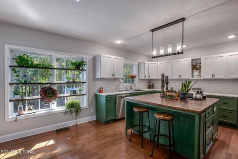 Tiny photo for 680 Dogwood Valley Rd, Kingston, TN 37763 (MLS # 1317081)