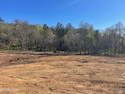 Photo of 84 Robbies Lane, Decatur, TN 37322 (MLS # 1334919)