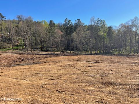 Tiny photo for 84 Robbies Lane, Decatur, TN 37322 (MLS # 1334919)