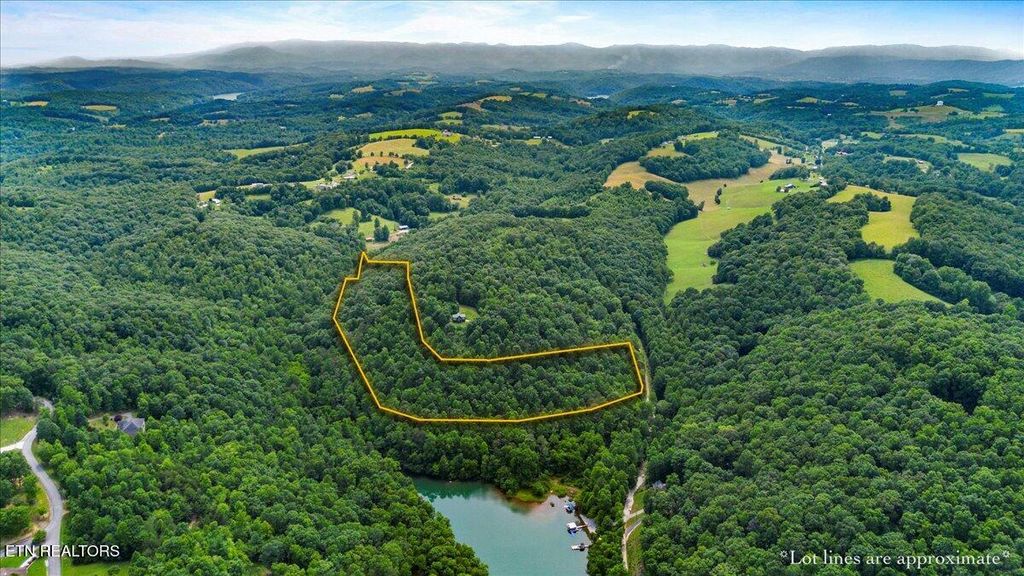 Photo of 0 Carp Lane, LaFollette, TN 37766 (MLS # 1258153)