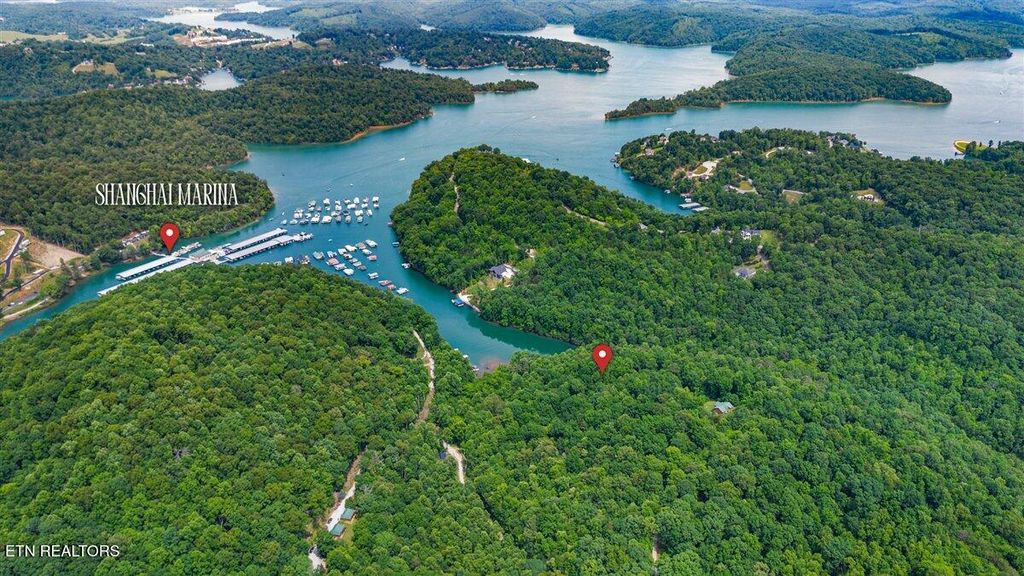 Photo of 0 Carp Lane, LaFollette, TN 37766 (MLS # 1258153)