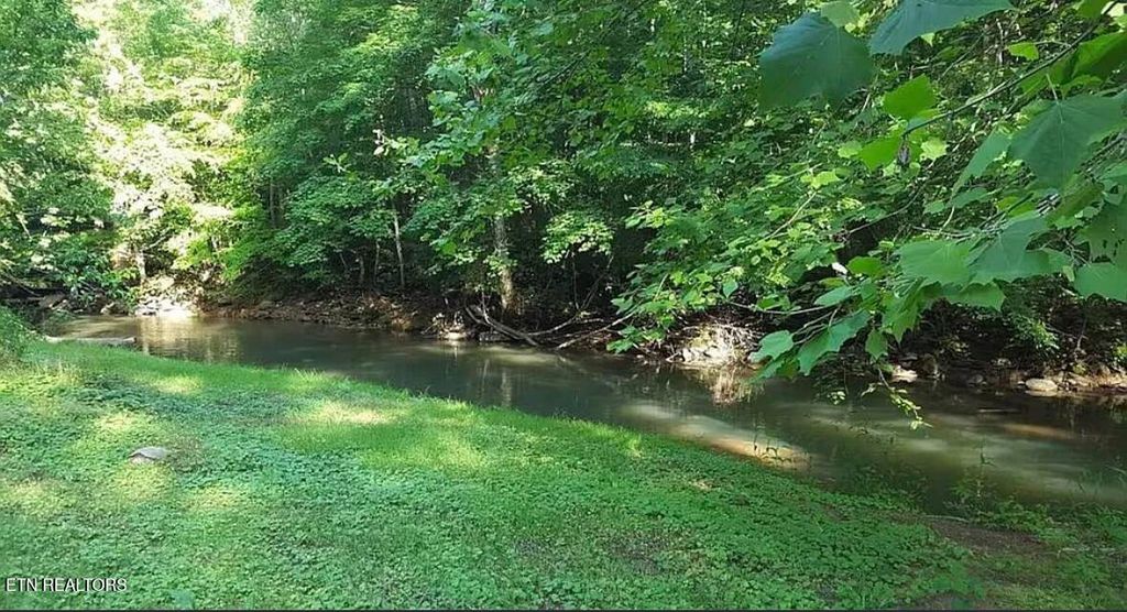 Photo of 332 HABERSHEM Rd, Duff, TN 37729 (MLS # 1331270)