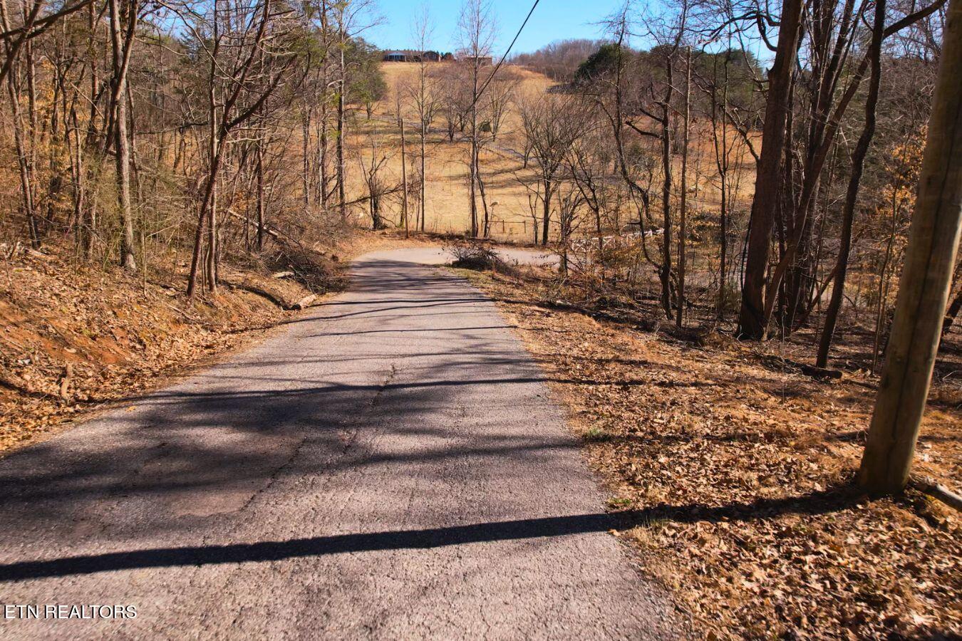 Lot 227 Auxier Drive
