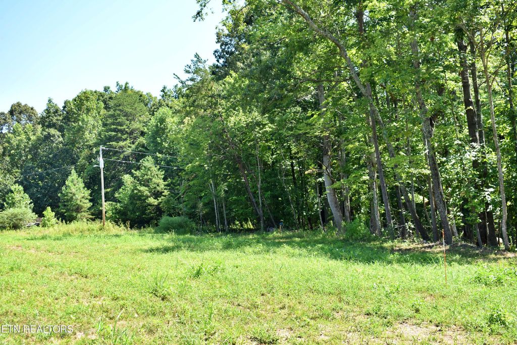Photo of 521 Norton Rd, Ten Mile, TN 37880 (MLS # 1309872)