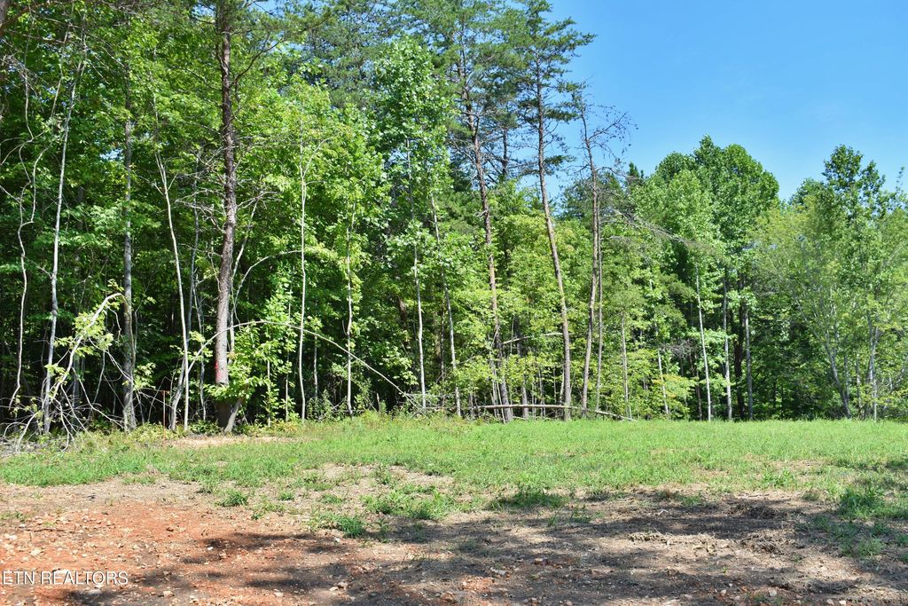 Photo of 521 Norton Rd, Ten Mile, TN 37880 (MLS # 1309872)