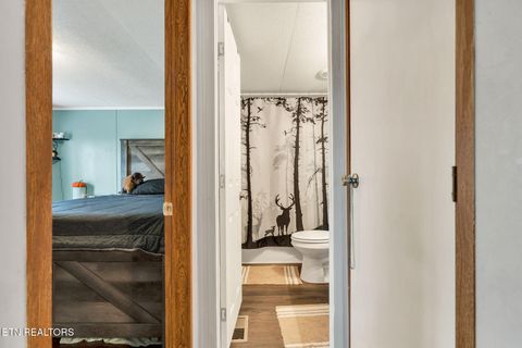 Tiny photo for 2886 Possum Trot Rd, Grandview, TN 37337 (MLS # 1330496)