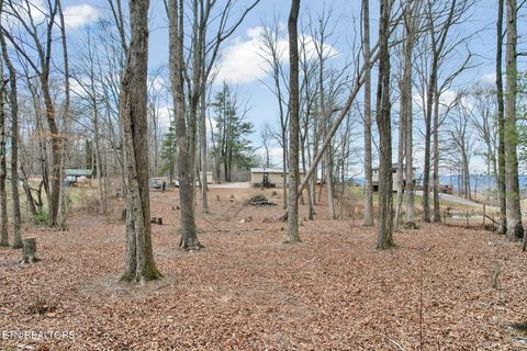 Tiny photo for 2886 Possum Trot Rd, Grandview, TN 37337 (MLS # 1330496)