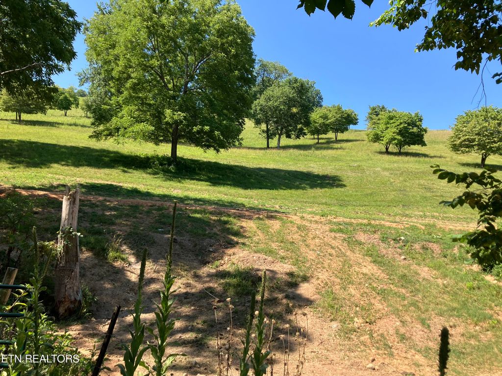 Photo of Highway 33 S, New Tazewell, TN 37825 (MLS # 1274285)