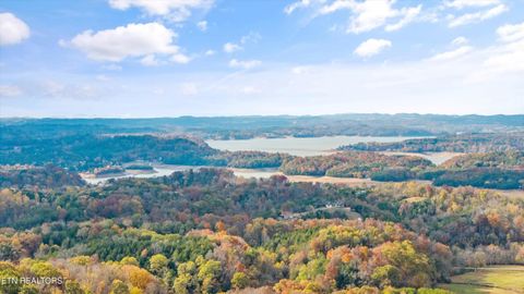 Tiny photo for 2020 Upper Rinehart Rd, Dandridge, TN 37725 (MLS # 1320645)