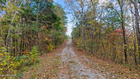 Tiny photo for 2020 Upper Rinehart Rd, Dandridge, TN 37725 (MLS # 1320645)
