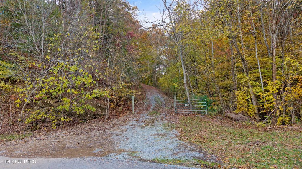 Photo of 2020 Upper Rinehart Rd, Dandridge, TN 37725 (MLS # 1320645)