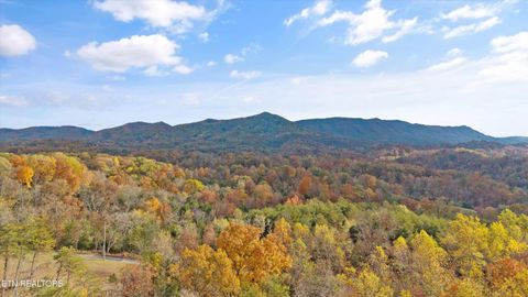 Tiny photo for 2020 Upper Rinehart Rd, Dandridge, TN 37725 (MLS # 1320645)