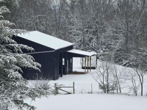 Tiny photo for 2020 Upper Rinehart Rd, Dandridge, TN 37725 (MLS # 1320645)