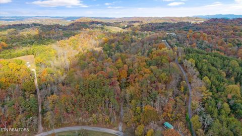 Tiny photo for 2020 Upper Rinehart Rd, Dandridge, TN 37725 (MLS # 1320645)