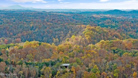 Tiny photo for 2020 Upper Rinehart Rd, Dandridge, TN 37725 (MLS # 1320645)