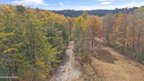 Tiny photo for 2020 Upper Rinehart Rd, Dandridge, TN 37725 (MLS # 1320645)