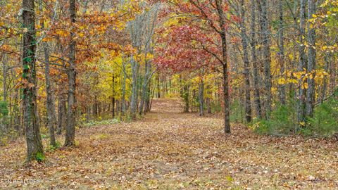 Tiny photo for 2020 Upper Rinehart Rd, Dandridge, TN 37725 (MLS # 1320645)