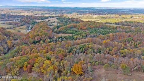 Tiny photo for 2020 Upper Rinehart Rd, Dandridge, TN 37725 (MLS # 1320645)