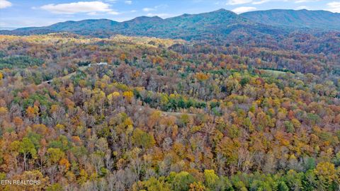 Tiny photo for 2020 Upper Rinehart Rd, Dandridge, TN 37725 (MLS # 1320645)